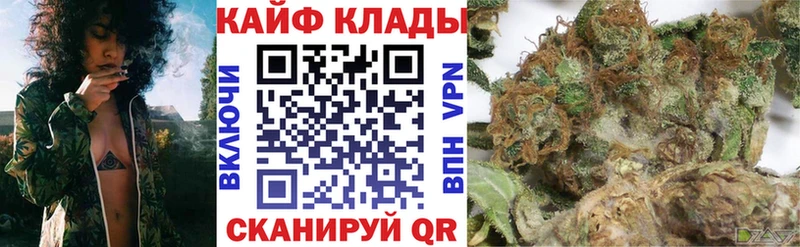 Где купить наркоту Тверь Амфетамин  Псилоцибиновые грибы  Конопля  Cocaine  Мефедрон 