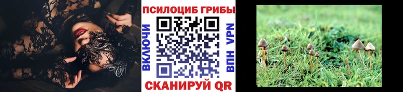 Галлюциногенные грибы мухоморы  Тверь 