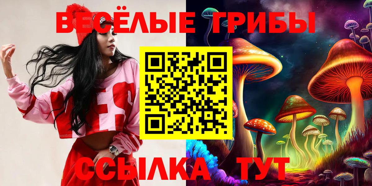 Тверь  Галлюциногенные грибы Magic Shrooms  купить наркотики цена  Вход с VPN 